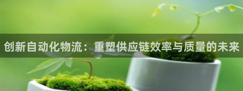 旺财28可以退款吗：创新自动化物流：