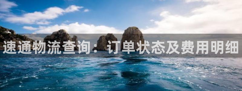 旺财28注册步骤：速通物流查询：订单