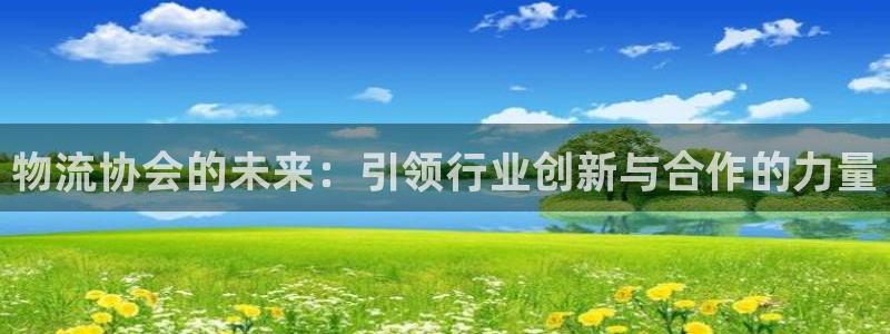 自行车旺财28是什么意思：物流协会的