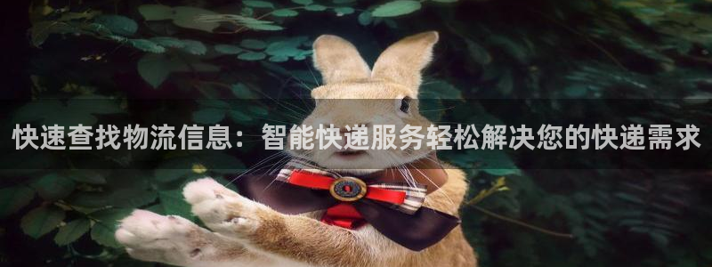 旺财28：快速查找物流信息：智能快递