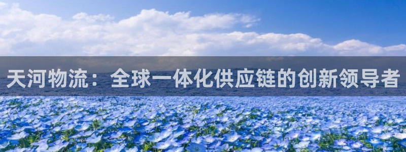 旺财28黑不黑：天河物流：全球一体化供应链的创新领导者