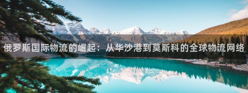 旺财28下载二维码怎么弄：俄罗斯国际