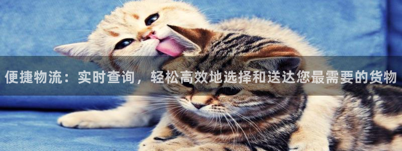 旺财28电子游戏：便捷物流：实时查询
