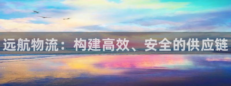 旺财28app怎么注册账号：远航物流