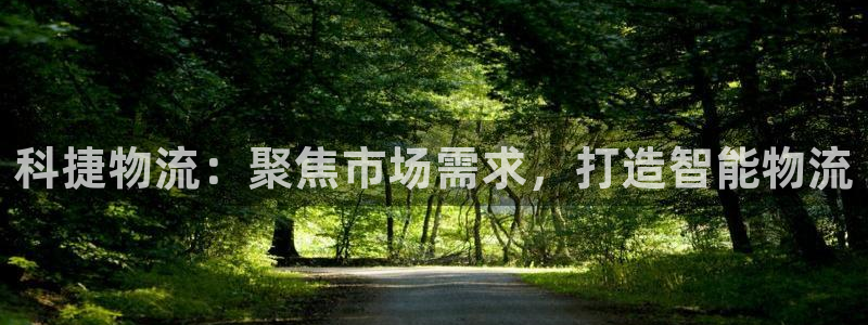 旺财28反水怎么算：科捷物流：聚焦市场需求，打造智能物流