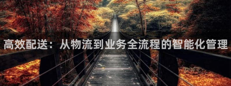 旺财28哪个最赚钱：高效配送：从物流到业务全流程的智能化管理