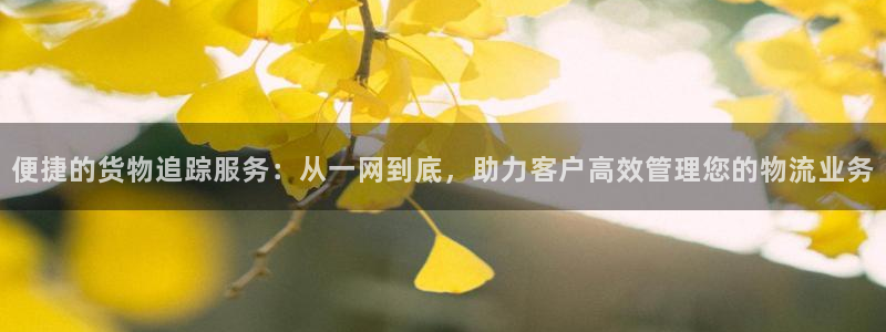 旺财28初始资金密码是什么：便捷的货