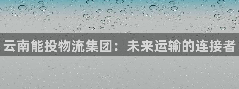 旺财28注册地址：云南能投物流集团：