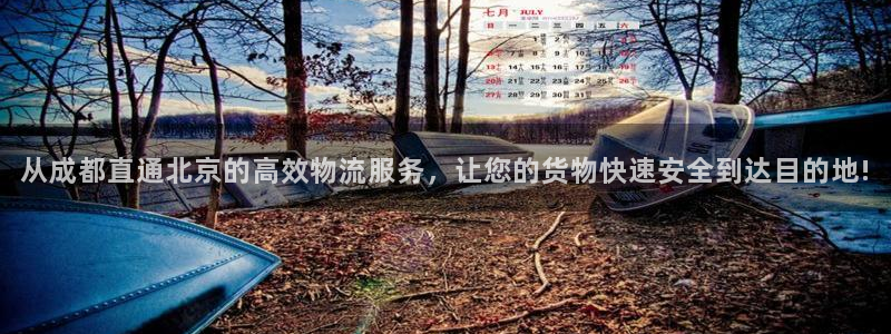 旺财28官网下载多少钱：从成都直通北京的高效物流服务，让您的