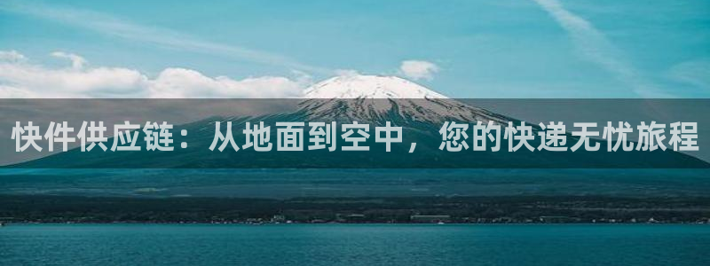 旺财28链接是什么：快件供应链：从地