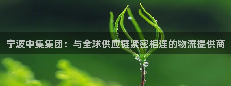 旺财28官网版2024：宁波中集集团