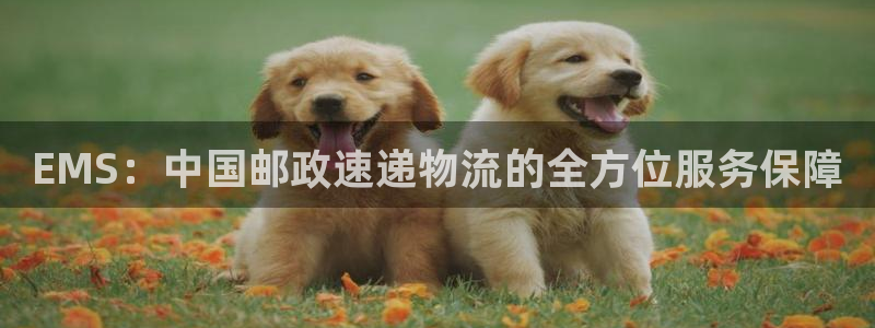 旺财28官网下载链接怎么弄：EMS：