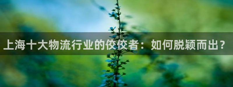 旺财28提现未达5期是什么意思：上海