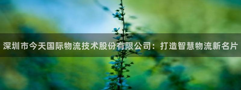 旺财28app注册地址：深圳市今天国际物流技术股份有限公司：