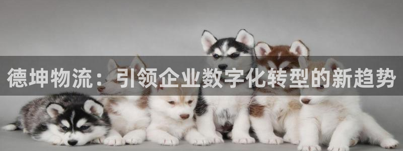 旺财28官网版下载：德坤物流：引领企