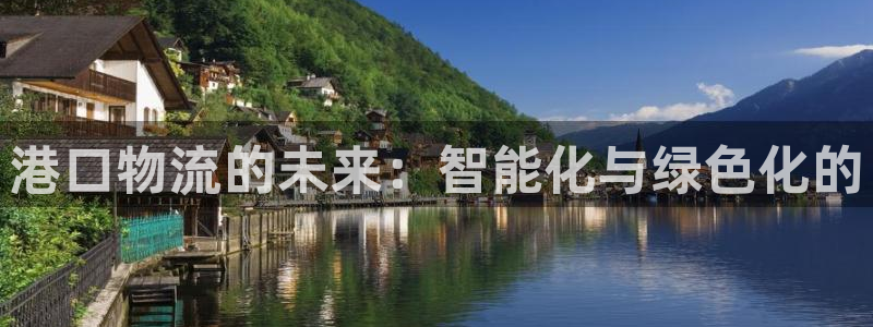 旺财28头像：港口物流的未来：智能化