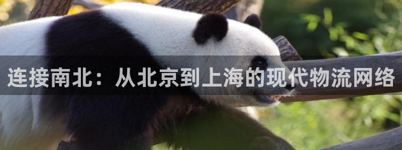 旺财28官网入口官网：连接南北：从北