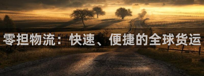 旺财28麻将：零担物流：快速、便捷的