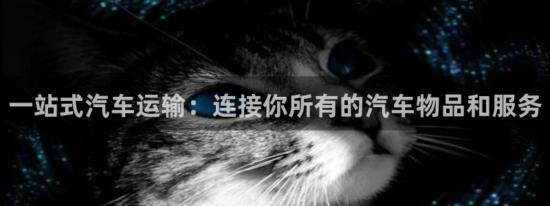 旺财28官网入口pc29官网版：一站式汽车运输：连接你所有的