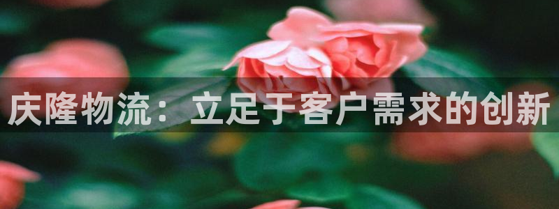 旺财28圈：庆隆物流：立足于客户需求