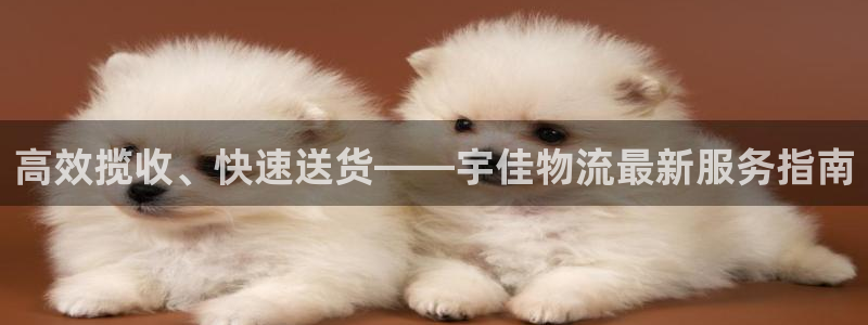 旺财28自行车搞笑图片：高效揽收、快