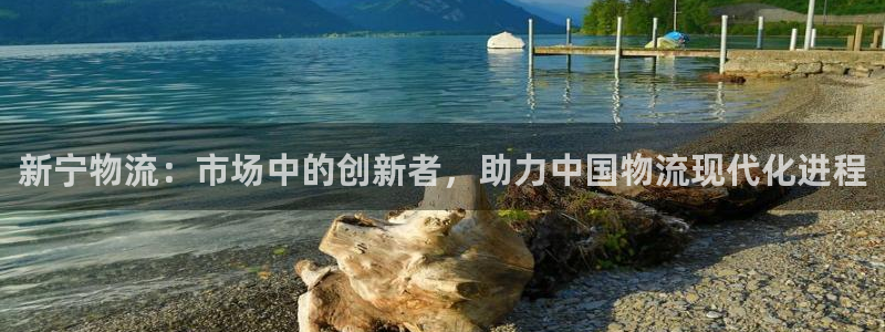 旺财28是正规平台吗：新宁物流：市场