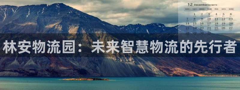 旺财28充值方式：林安物流园：未来智