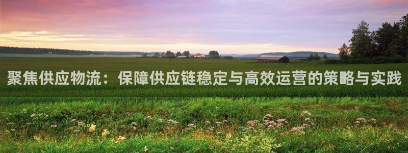 旺财28官网入口app