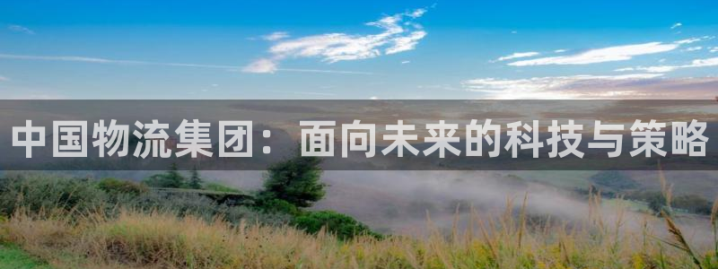 旺财28如何注销账号：中国物流集团：