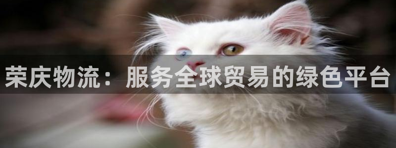 旺财28登录不上咋回事：荣庆物流：服