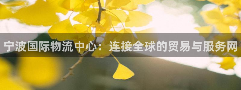 旺财28官网版所有版本：宁波国际物流