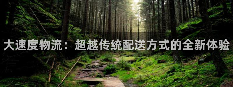 旺财28官网版2024：大速度物流：超越传统配送方式的全新体