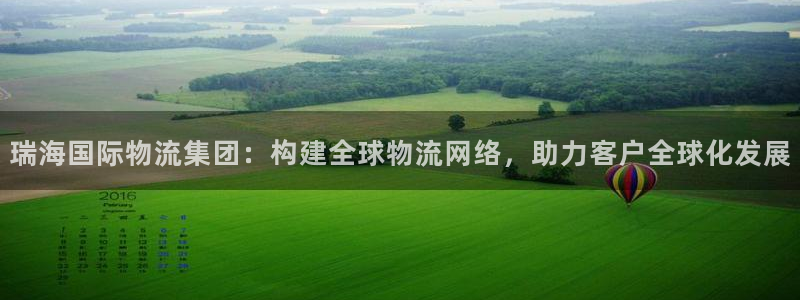 旺财28官方版网站：瑞海国际物流集团